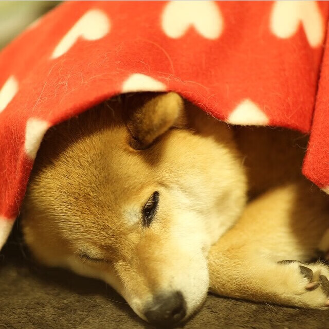 欧冠决赛之夜，劳塔罗成为胜负手