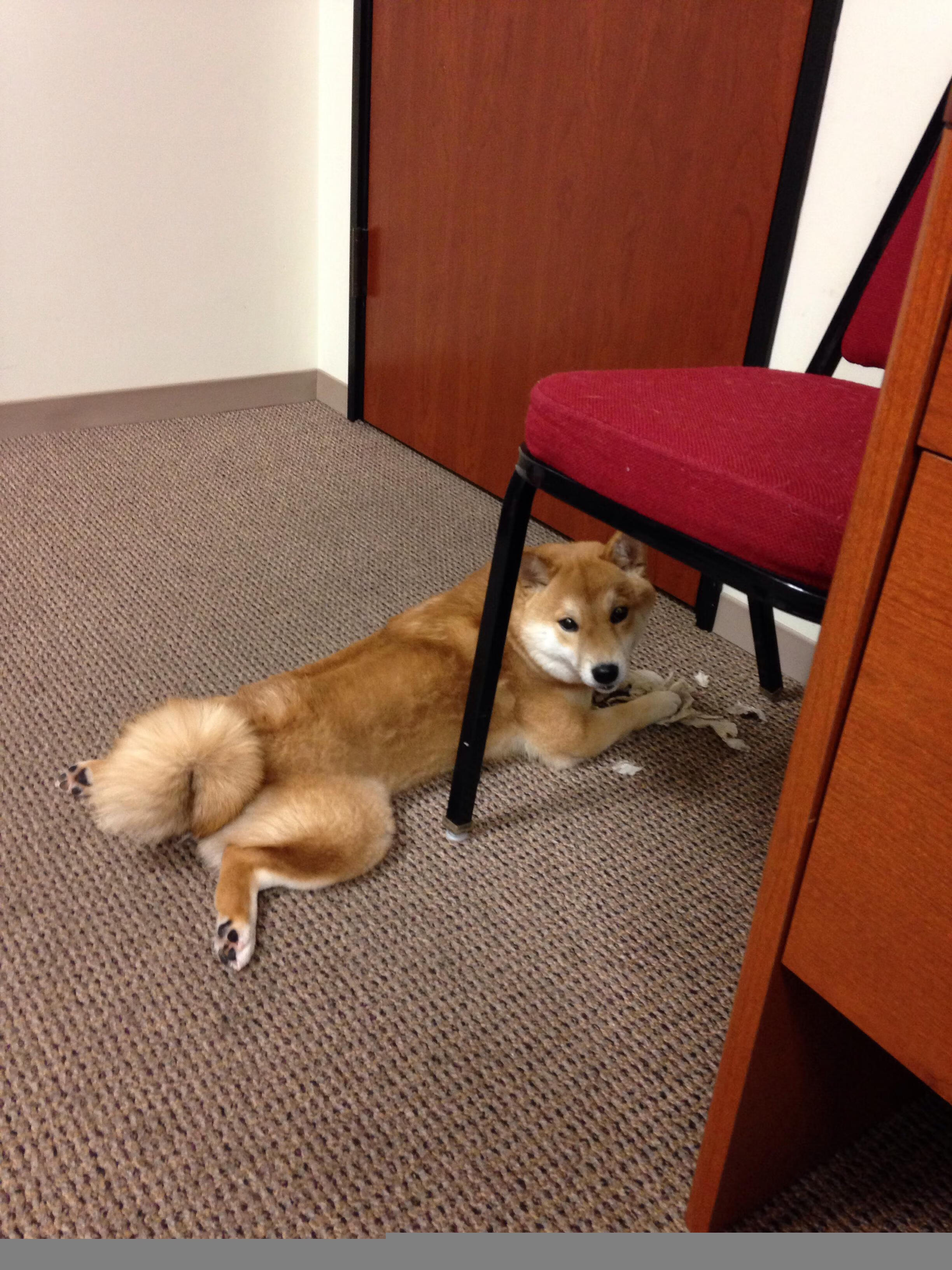 欧文华丽舞步点燃北岸花园，凯尔特人稳扎稳打轻取马刺