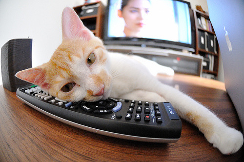 久保建英闪耀破局，国际米兰体系全面压制波兰足球崛起