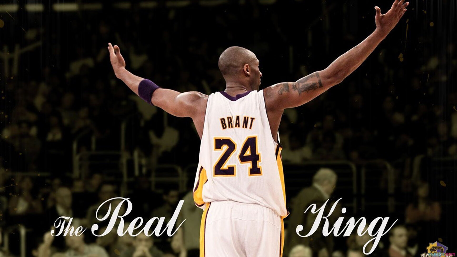 联合杯绝杀ATP总决赛，西西帕斯高光表现，独一时刻的诞生